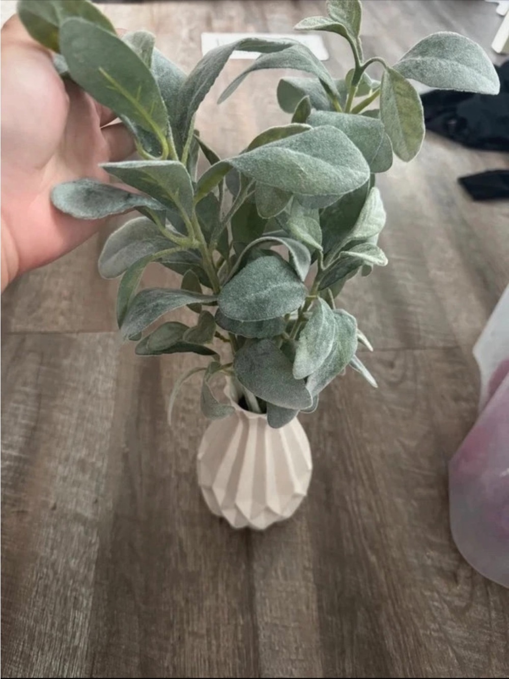 Soft Sage Faux Lambs Ear Stems in Cream Ceramic Vase